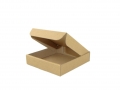 Opakowania 100x100x20 10szt